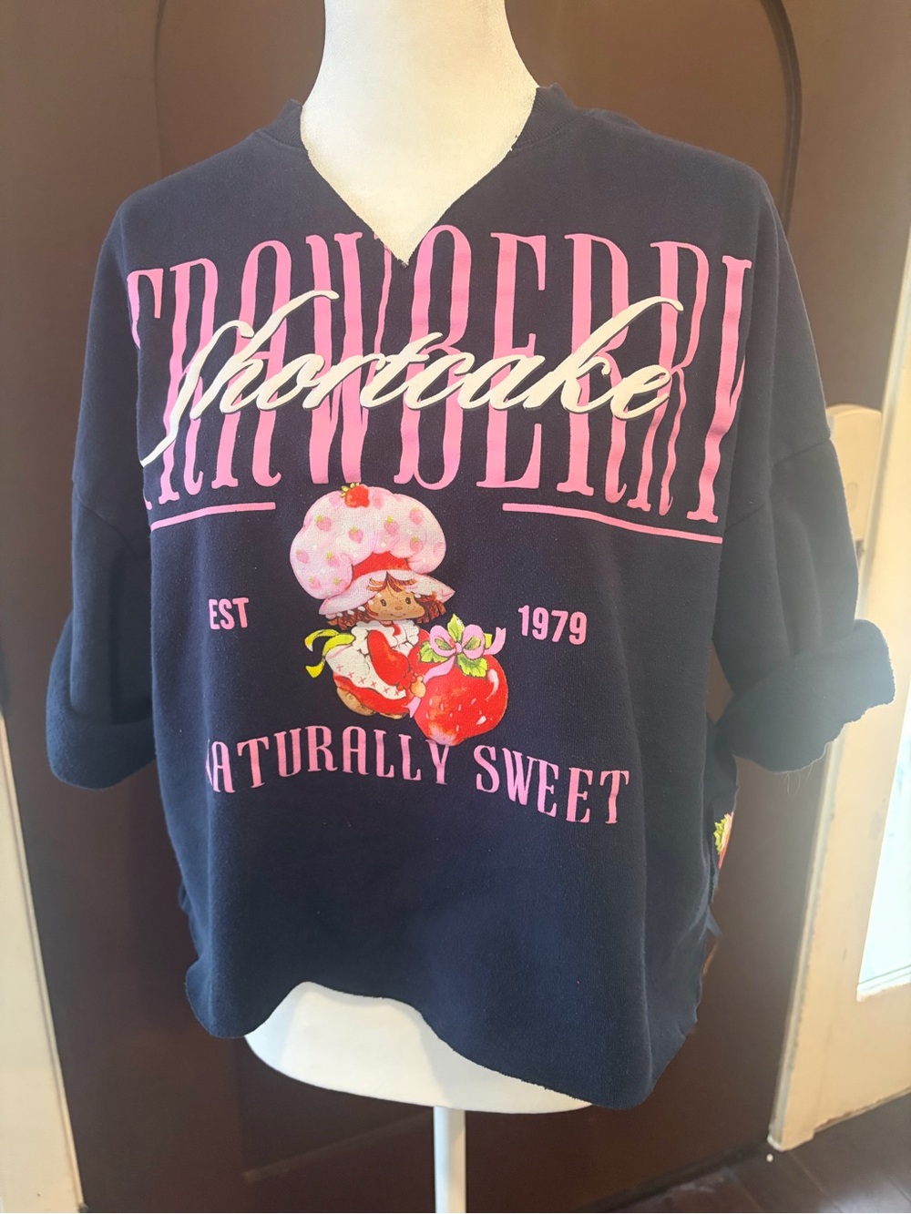 Navy Strawberry Shortcake 🍰 Graphic Pullover Crop Sweatshirt